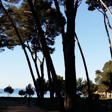 Ibiza